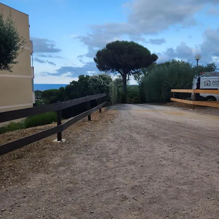 Joli Vue